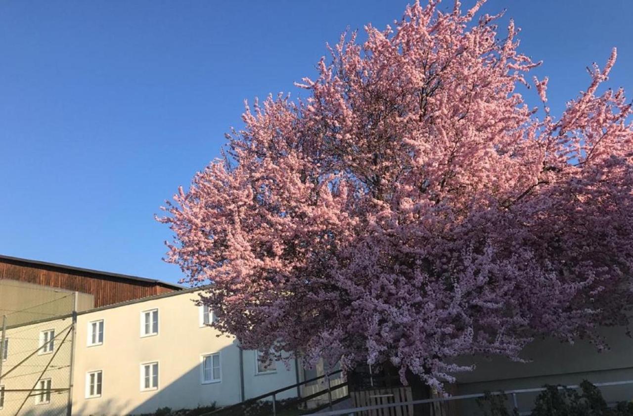 Landpension Gschwantner Lengenfeld Bagian luar foto